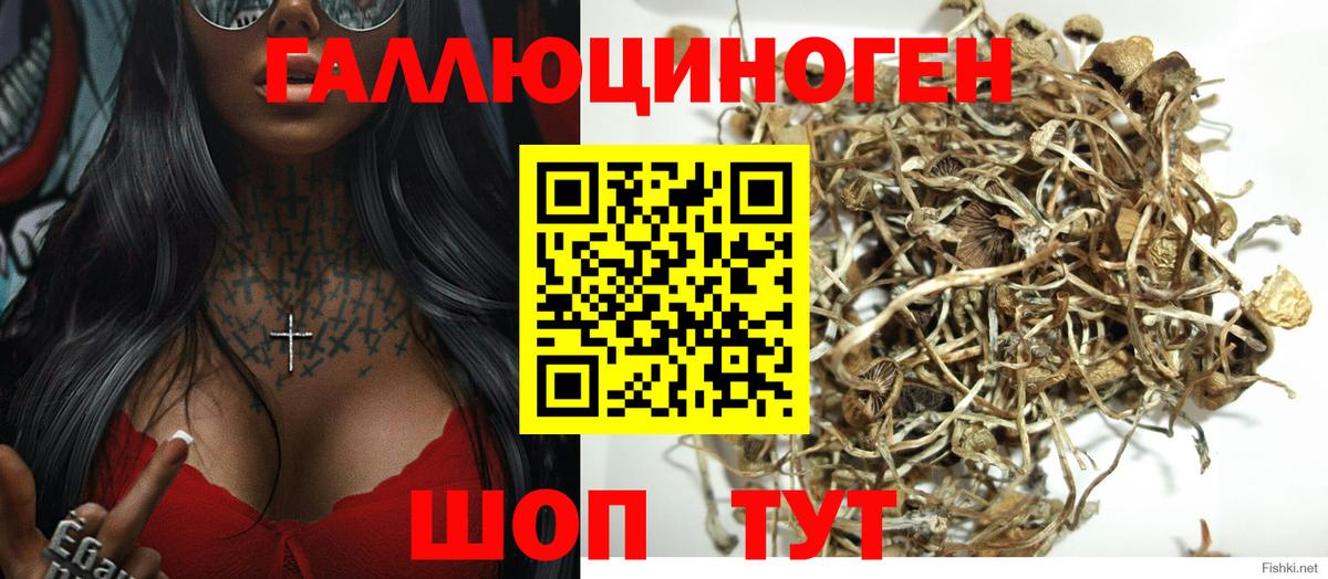 Бирск  Псилоцибиновые грибы MAGIC MUSHROOMS  Псилоцибиновые грибы прущие грибы  Вход с VPN 