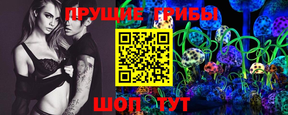 Галлюциногенные грибы Psilocybine cubensis Бирск
